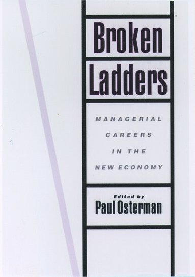 bokomslag Broken Ladders