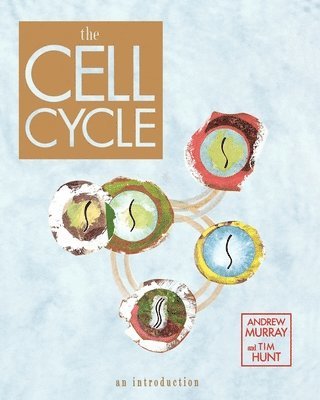 The Cell Cycle 1