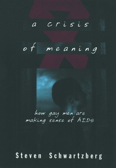 bokomslag Crisis of Meaning