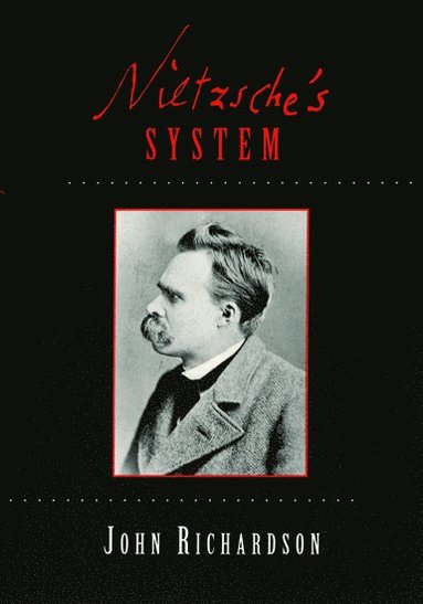 bokomslag Nietzsche's System