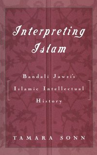 bokomslag Interpreting Islam
