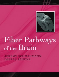 bokomslag Fiber Pathways of the Brain