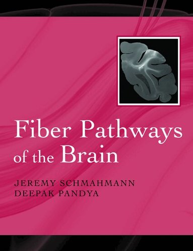 Jeremy D. Schmahmann, Deepak N. Pandya - Fiber Pathways of the Brain, Inbunden