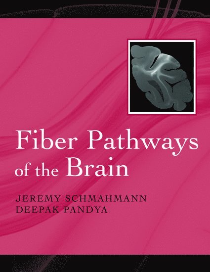 Jeremy D. Schmahmann, Deepak N. Pandya, USA) Schmahmann, Jeremy D. (Associate Professor of Neurology, Associate Professor of Neurology, Harvard Medical School, USA) Pandya, Deepak N. (Professor of Anatomy and Neurobiology, Professor of Anatomy and Neurobiology, Boston University School of Medicine - Fiber Pathways of the Brain, Inbunden
