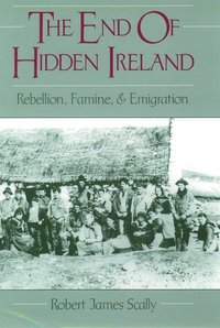bokomslag The End of Hidden Ireland