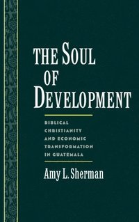 bokomslag The Soul of Development