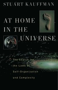 bokomslag At Home In The Universe