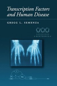 bokomslag Transcription Factors and Human Disease