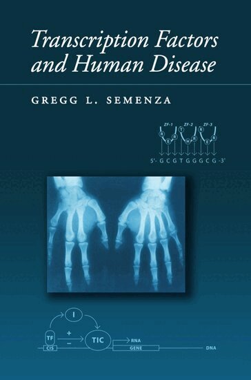 Gregg L. Semenza - Transcription Factors and Human Disease, Inbunden