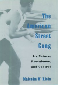 bokomslag The American Street Gang