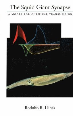The Squid Giant Synapse: A Model for Chemical Transmission [With *]