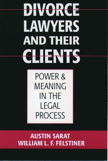 Divorce Lawyers and Their Clients