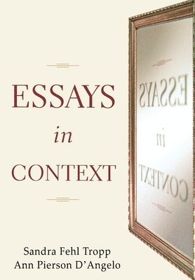 bokomslag Essays in Context