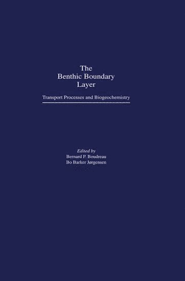 bokomslag The Benthic Boundary Layer