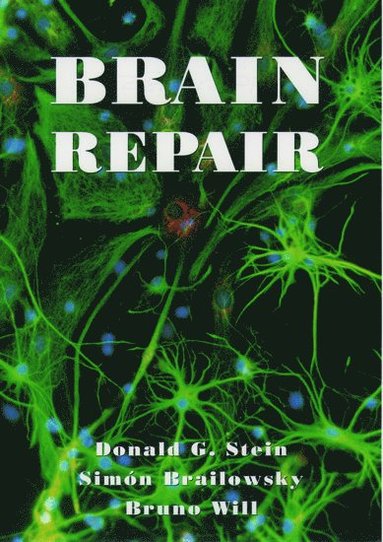 bokomslag Brain Repair