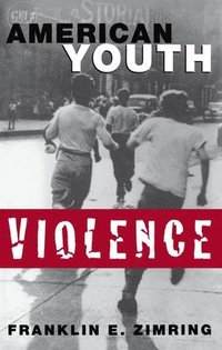 bokomslag American Youth Violence