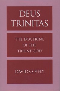 bokomslag Deus Trinitas