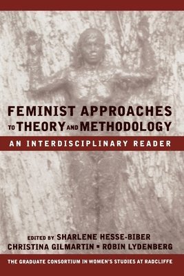 Hesse-Biber, Gilmartin, Lydenberg - Feminist Approaches to Theory and Methodology, Häftad