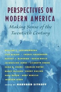 bokomslag Perspectives on Modern America