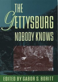 bokomslag The Gettysburg Nobody Knows