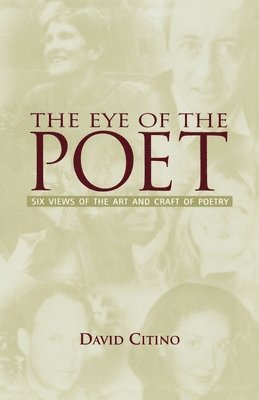 bokomslag Eye of the Poet