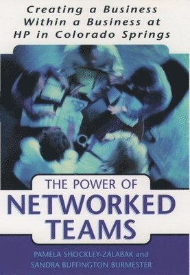 bokomslag Networked Teams