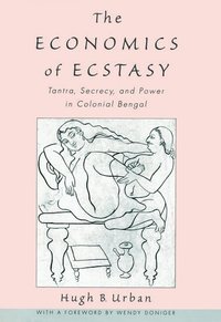 bokomslag The Economics of Ecstasy