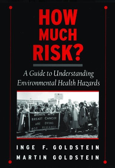 Inge F. Goldstein, Martin Goldstein - How Much Risk?, Inbunden