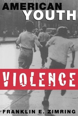bokomslag American Youth Violence