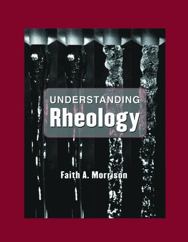 Faith A. Morrison - Understanding Rheology, Inbunden