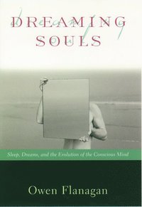 bokomslag Dreaming Souls: Sleep, Dreams, and the Evolution of the Conscious Mind