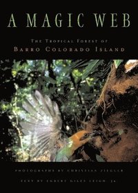 bokomslag A Magic Web: The Forest of Barro Colorado Island