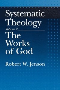 bokomslag Systematic Theology: Volume 2: The Works of God