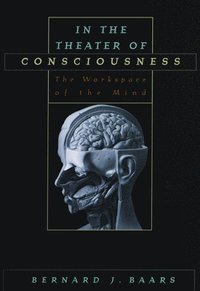 bokomslag In the Theater of Consciousness