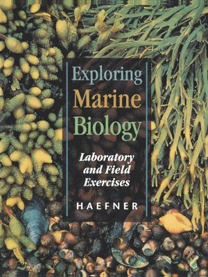 Haefner - Exploring Marine Biology, Häftad