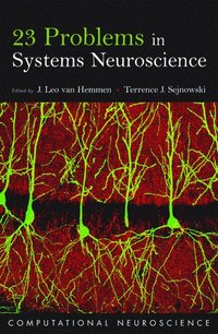 bokomslag 23 Problems in Systems Neuroscience