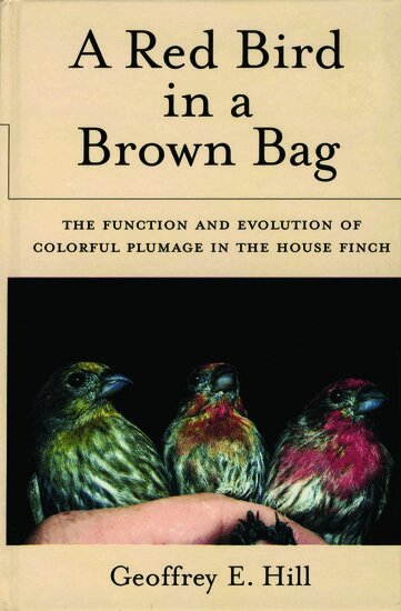 Geoffrey E. Hill - A Red Bird in a Brown Bag, Inbunden