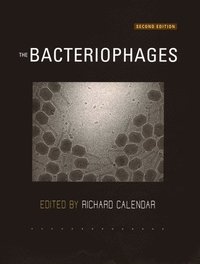 bokomslag The Bacteriophages