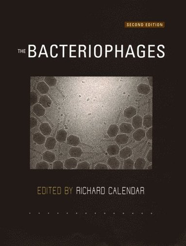 bokomslag The Bacteriophages