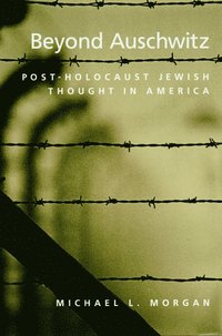 bokomslag Beyond Auschwitz
