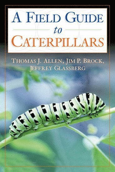 Thomas J. Allen, Jim P. Brock, Jeffrey Glassberg, Thomas J Allen, Jim P Brock - Caterpillars in the Field and Garden, Häftad