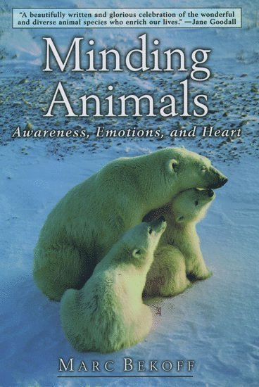 Minding Animals