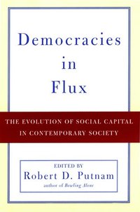 bokomslag Democracies in Flux