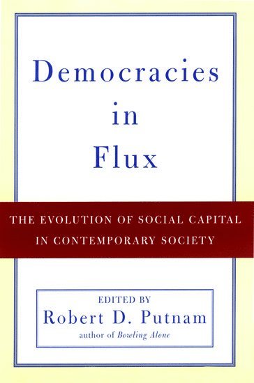 bokomslag Democracies in Flux