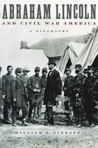 bokomslag Abraham Lincoln and Civil War America