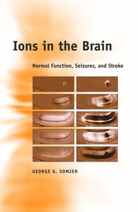 bokomslag Ions in the Brain