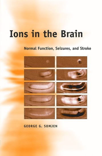 bokomslag Ions in the Brain