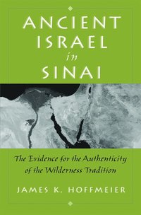 bokomslag Ancient Israel in Sinai