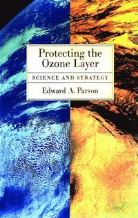 bokomslag Protecting the Ozone Layer