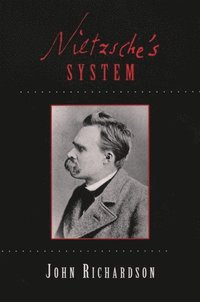 bokomslag Nietzsche's System